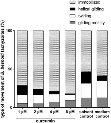 Antiparasitic Efficacy of Curcumin Against Besnoitia besnoiti Tachyzoites in vitro